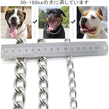 Amazon.co.jp: 犬用首輪,しつけ用首輪,ベーシック首輪,小中大型